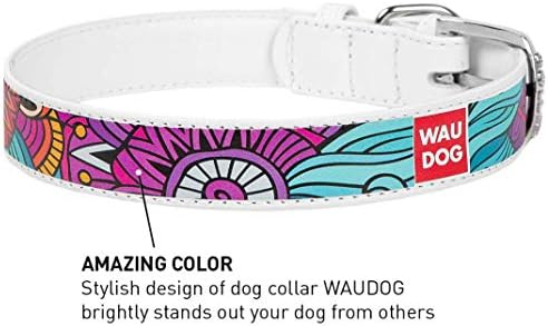 Дизайнерски кожен нашийник за Кученца от Малки, Средни и Големи кучета - Кожена яка за момчета и Момичета - Нашийник за кучета с кожена катарама Бял цвят (11 2/5 - 14 4/5 Вр?