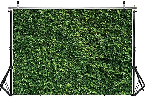 WOLADA 10x10FT Зелен Фон Зелените Стени на Фона на Зелените Листа на Фона на Зелената Трева на Фона на Зелен Бръшлян