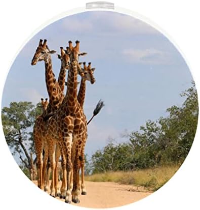 2 Бр Plug лека нощ Led нощна светлина Африканска Група Жирафи, Разхождат с Датчик от Здрач до Зори за Детска стая, Детска,
